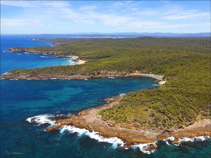 Murramarang National Park - NSW (PBH4 00 16400)